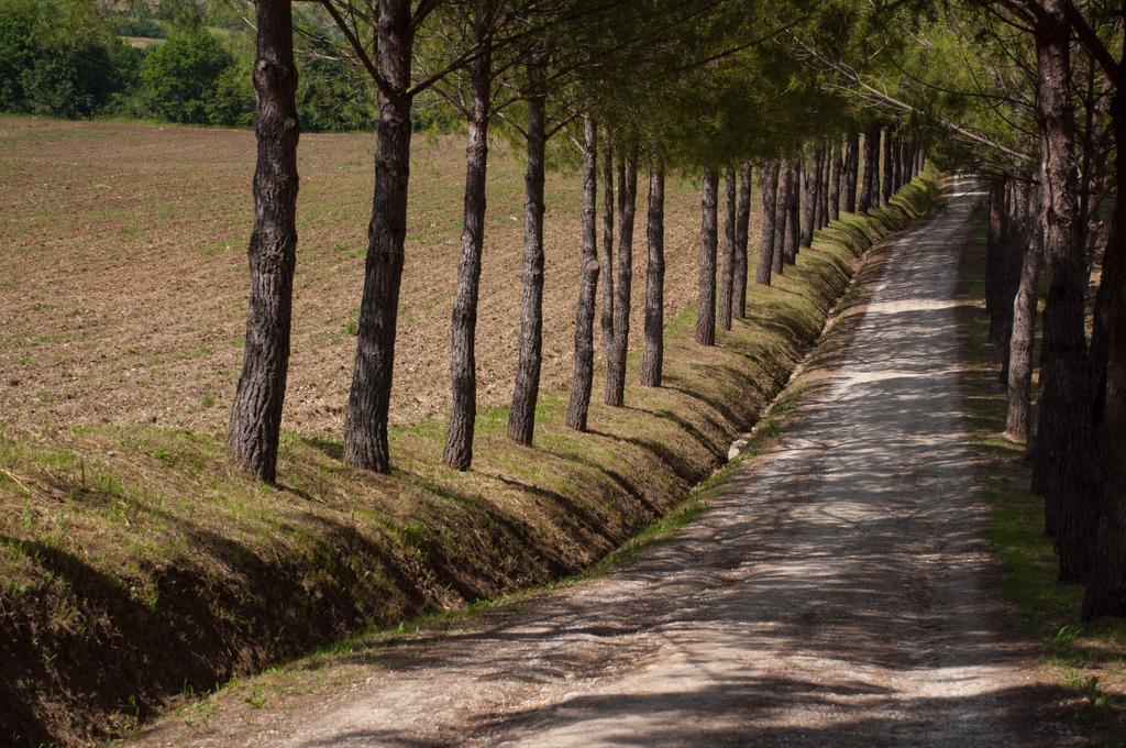 Agriturismo La Pieve 콜레 발델사 외부 사진