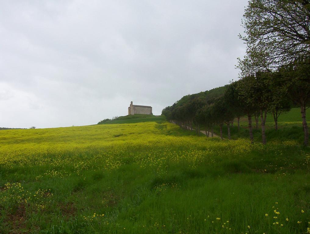 Agriturismo La Pieve 콜레 발델사 외부 사진