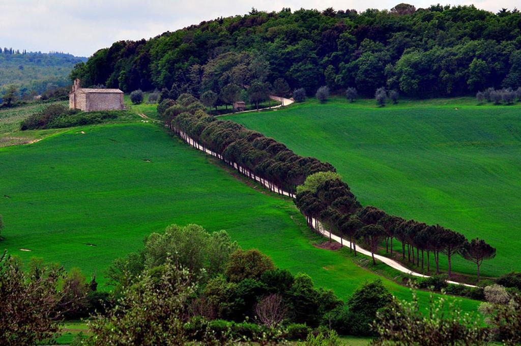 Agriturismo La Pieve 콜레 발델사 외부 사진