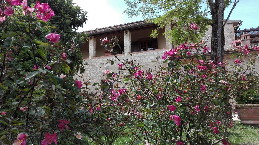 Agriturismo La Pieve 콜레 발델사 외부 사진