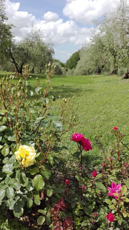 Agriturismo La Pieve 콜레 발델사 외부 사진